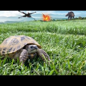 Meet your Posher, Sean